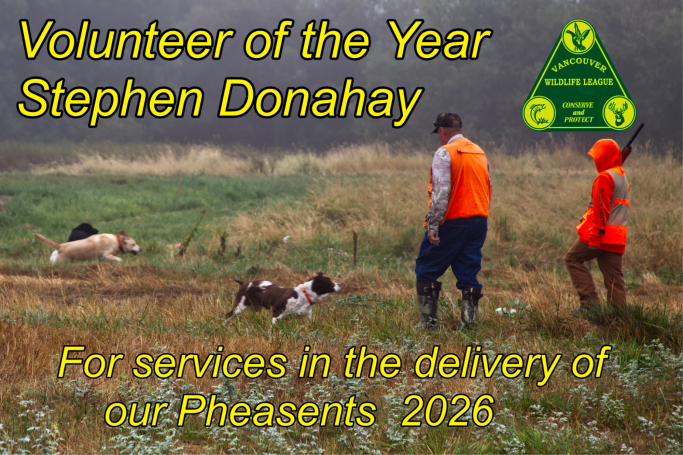 Stephen Donahay Volunteer of the Year